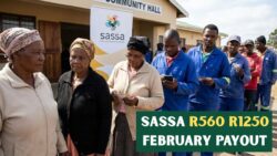 SASSA February 2026 Payment Update: R560 and R1,250 Grants Scheduled 17 February With Tracking Steps